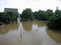 Hochwasser (237)